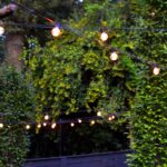 Spring 2025 Landscape Lighting Trends for Charlotte, NC Homes