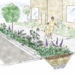 Innovative Water Management: Creating Native Flowing Bioswales for Effective Drainage in Charlotte, NC